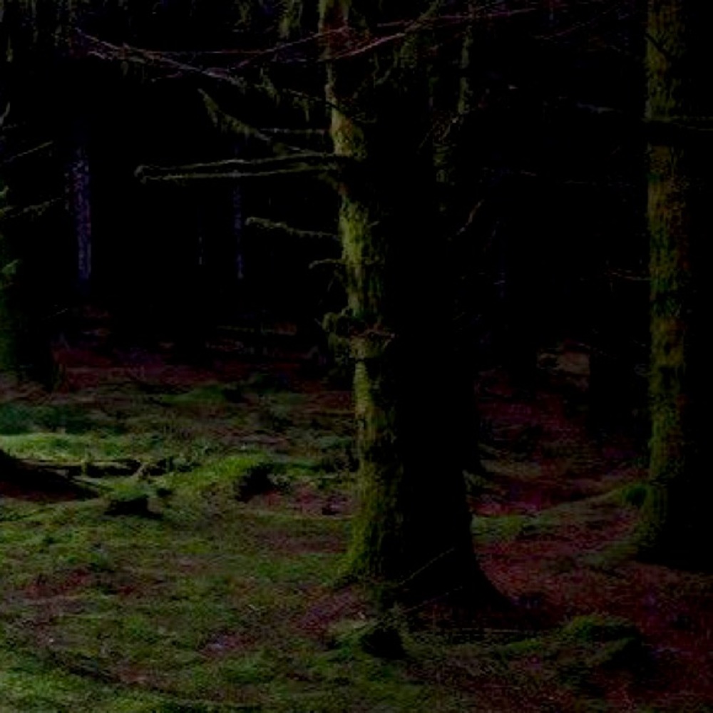 Meet your Posher, Miriam